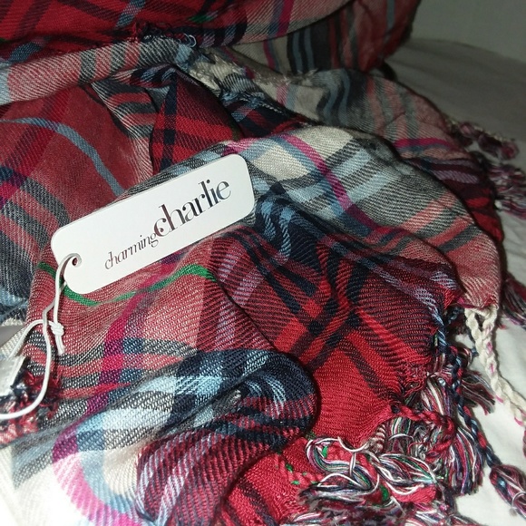 💥NWT💥 Charming Charlie's Scarf - Picture 2 of 3